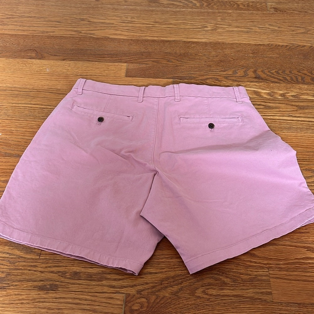 NWT GAP Men’s Pink and Purple Shorts Size 33 8 inches short