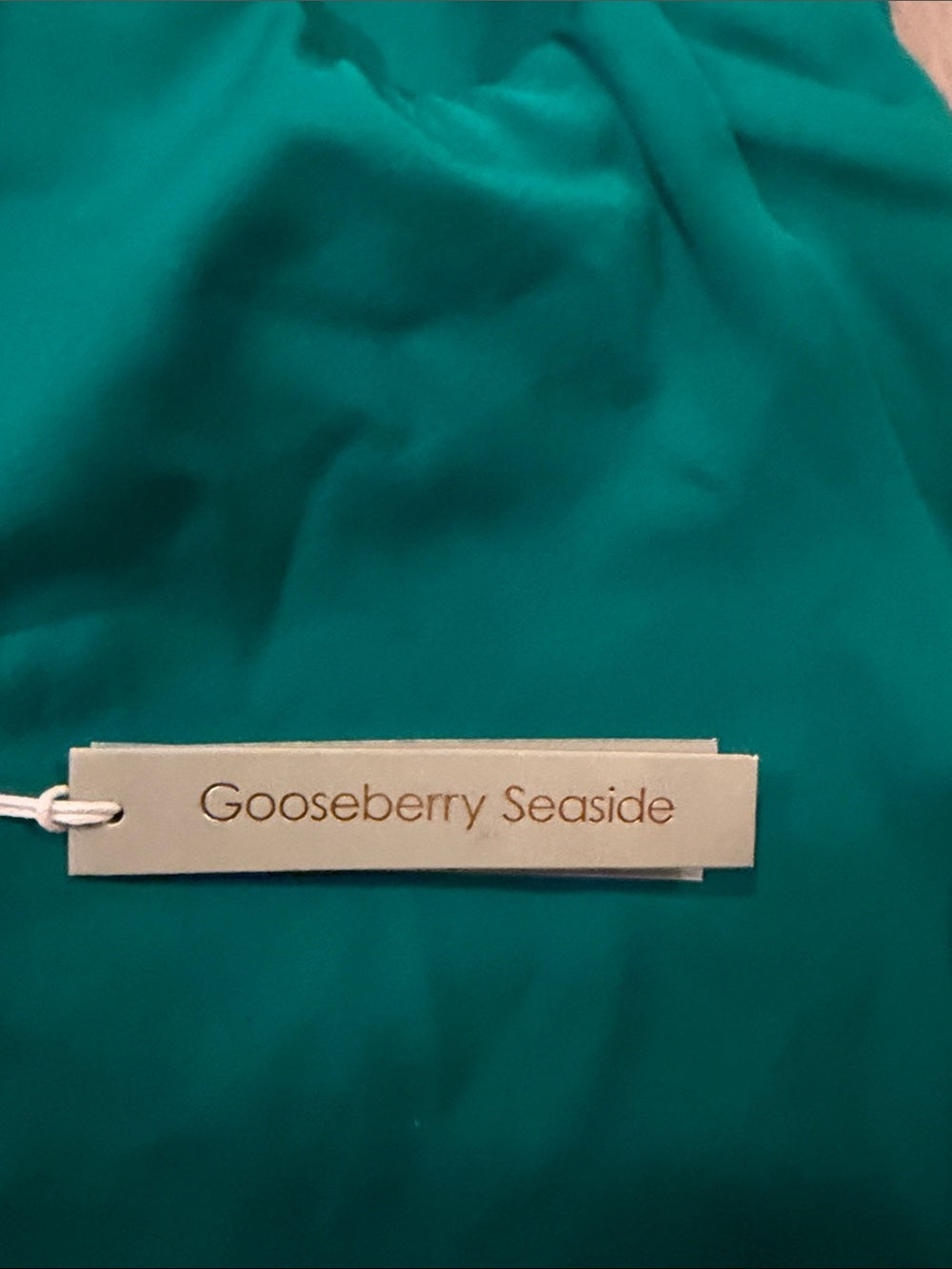 NWT Gooseberry Seaside Woman’s Teal One-Piece Swimsuit Size L