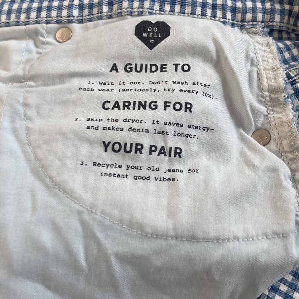 NWT Women’s Madewell skirt. Blue/white. Size 27